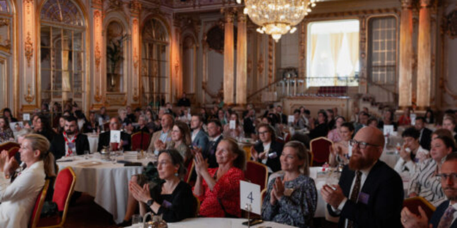 Tidigare beviljade bidrag att inspireras av